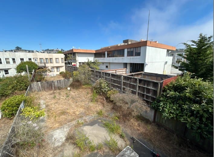 Overgrown yard before cleanup